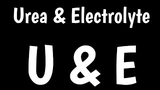 Celebrity Urea & Electrolyte Interpretation | U&E | Why To Test For Urea & Electrolytes | Wealth