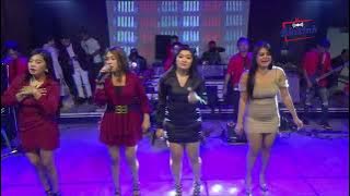 TOANG TAMBI  LAGU TARLING  ALL ARTIS NUNG UL QISMA