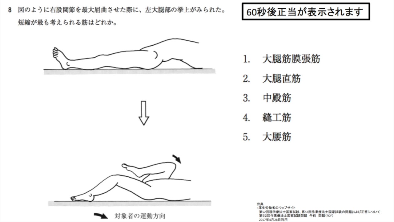 第52回OT国試午前 No.8 - 股関節屈曲と代償動作 | 動画