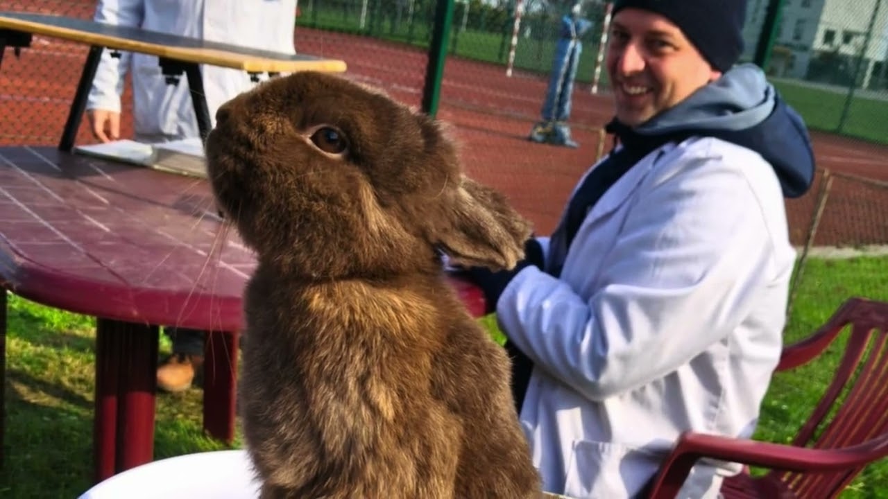 Migawki z hodowli na przełomie 2025/2026