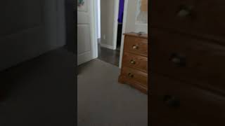 My first vid My first vid