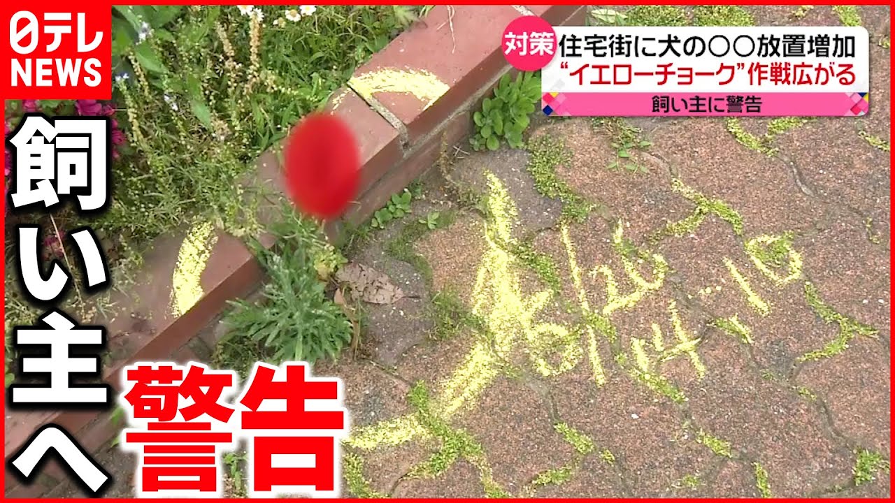 【犬の散歩“マナー違反”】イエローチョーク作戦広がる