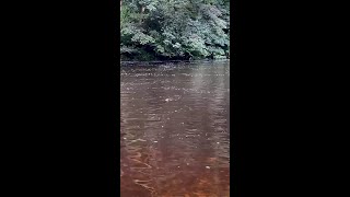 Meditation : Spa Serenity