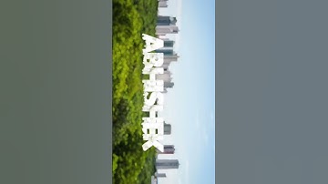 urban Jungle name video editing