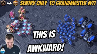 Terran and Protoss cheeser walk into a bar... | Sentry Only to Grandmaster #11 StarCraft 2