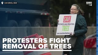 Protesters gather as extensive tree removal begins for Shoreline transportation project