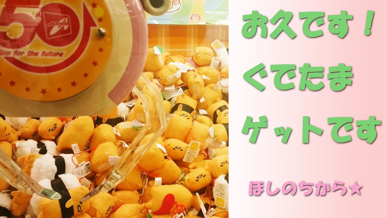 お久しぶりです。ぐでたま取ってきました！