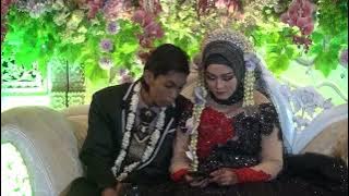 I WILL DIE IN THE HEART BEESAMA NATURE MUSIC