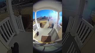 Doorcam: Package Thief Gets Rainbow Glitter Bomb Revenge 💥✨🌈 #JusticeServed