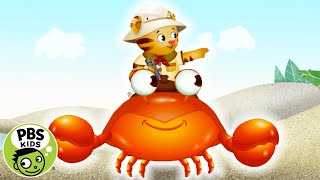 Daniel Tiger's Neighborhood | 🎶Crabby Crab Ride 🎶| PBS KIDS