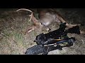 Deer hunting w rx cobra adder crossbow