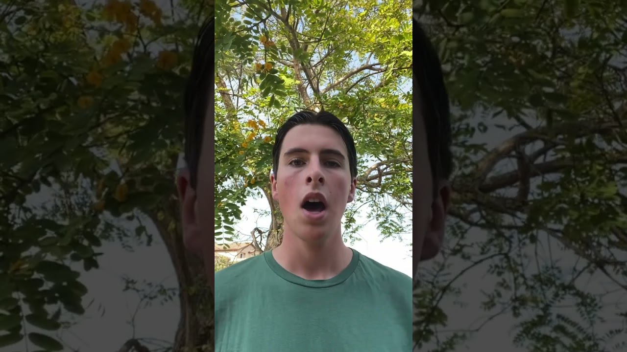 Stop Clearcutting Old-Growth Forests!