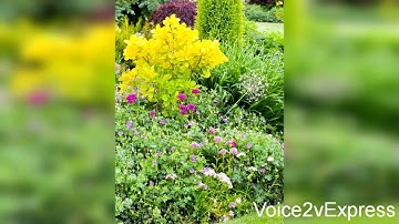 سورة التوبة - المصحف المرتل