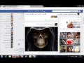 تم اختراق اشوين متنكين من قبل الوحش صلاح اس بي ار ورؤؤش اس بي ار تم اختراق اشوين متنكين من قبل الوحش صلاح اس بي ار ورؤؤش اس بي ار
