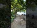 Laguna De Apastepeque Elsalvador Laguna De Apastepeque Elsalvador