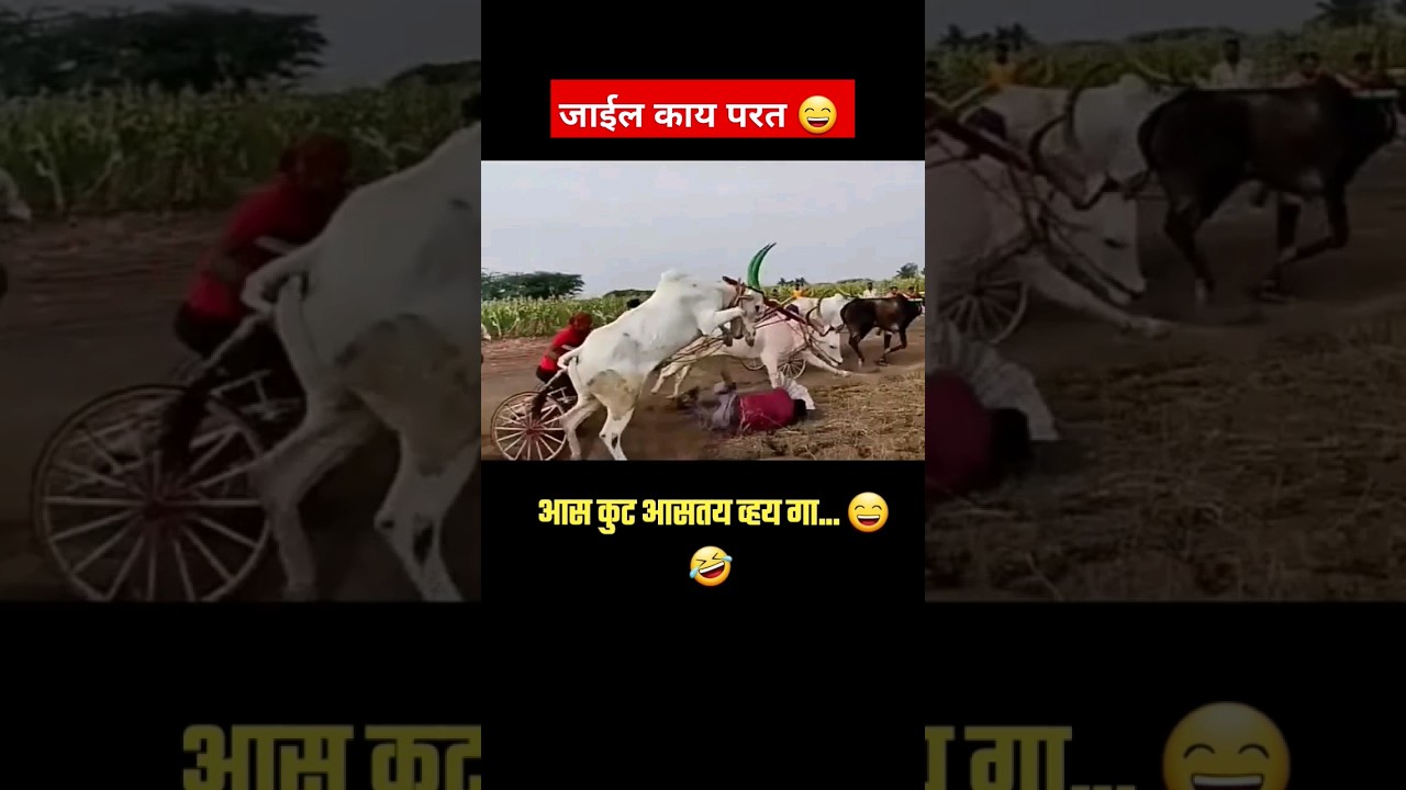 Aashiq Purana Kaka Slowed And Reverb Lofi Song Aesthetic WhatsApp Status Lofi - YouTube Auto PHP Script