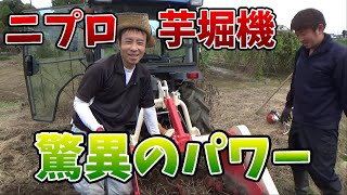 I tried digging up Silk Sweet potatoes using a potato digger - YouTube