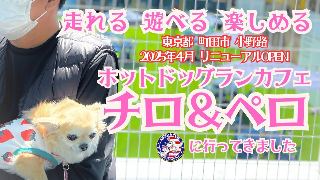 【ホットドッグラン チロ＆ペロ いよいよオープン】走れて 遊べて 楽しめた