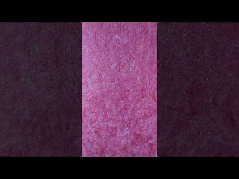 ☆РІДКІ ШПАЛЕРИ ☆ Бегонія 125 ☆