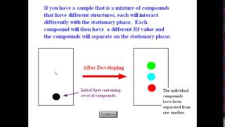 Exp. 7 Chromatography Theory Tutorial Video