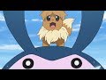 Eevee stranded at sea?! | Pokémon the Series: Sun & Moon—Ultra Legends | Short