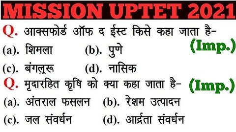 UPTET 2021 || Junior Super TET EVS Most Important Questions || Super TET