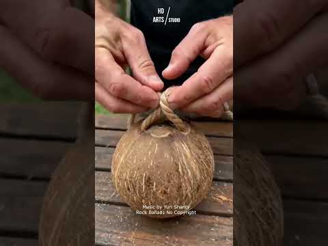 Coconut Birdhouse #GardenDecor #LandscapeDecor #Shorts