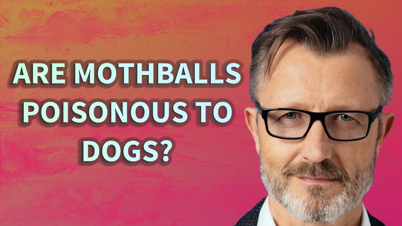 Are mothballs poisonous to dogs? YouTube
