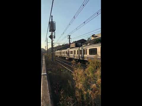 11月18日、北鎌倉の朝🌅