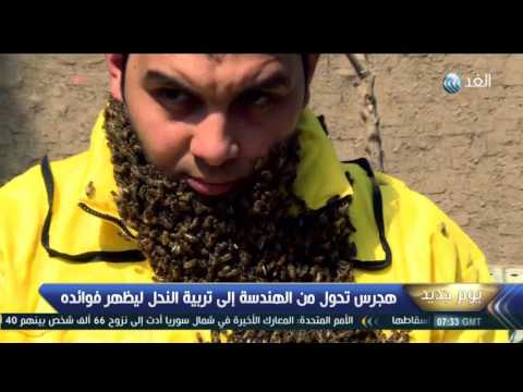 يوم جديد محمد هجرس شاب مصري يربي لحيته من النحل