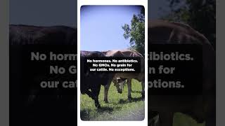 Hindsight Grazing