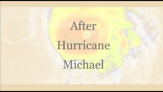 After Hurricane Michael Vlog