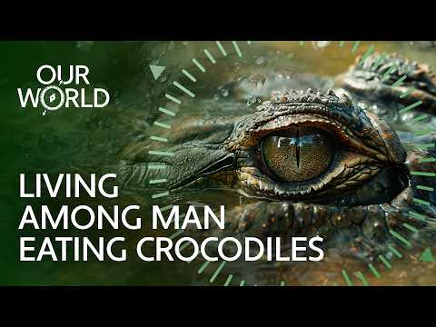 The Men Who Trusted Crocodiles Too Much (4K Documentary)