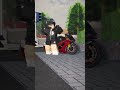 Info Racikan😋#zx10r#zx10rr#moge#idw #indonesiadragwars #pnb #roblox