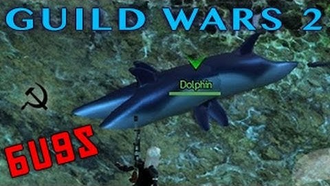 Guild Wars 2 - Ranger Swoop Bug