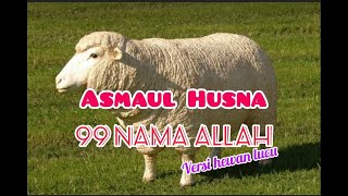 ASMAUL HUSNA - 99 NAMA ALLAH merdu - Versi Hewan Lucu, Lagu Islami- Sholawat merdu- anak anak