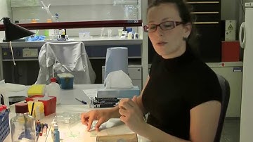 User experience with the Leica SR GSD 3D (2)