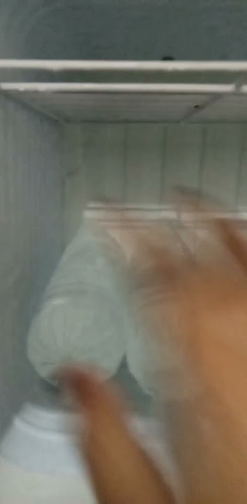 big freezer ref