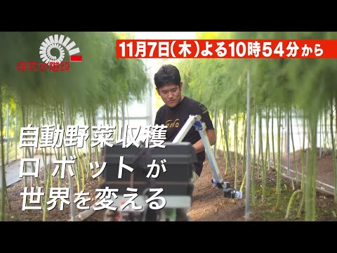 探究の階段#6