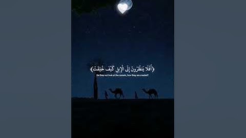 #سورة الغاشية(فِي جَنَّةٍ عَالِيَةٍ 10 لَا تَسْمَعُ فِيهَا لَاغِيَةً 11 فِيهَا عَيْنٌ جَارِيَةٌ)
