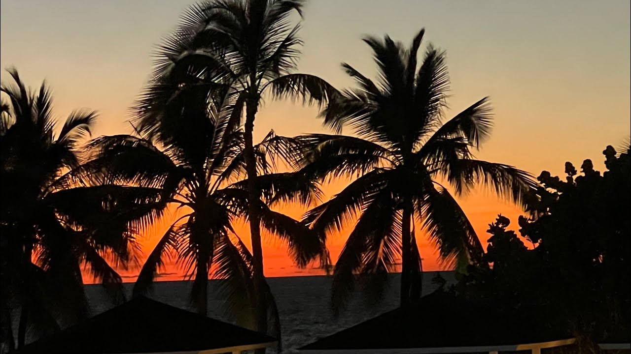 Melia Las America Varadero Walkthrough April 10 2024 - YouTube