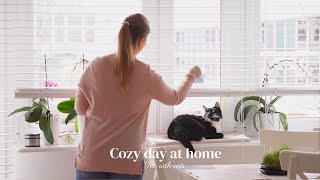 Cozy day at home | Beetroot soup and quiet rest | Vlog no. 20