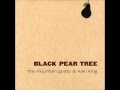 The Mountain Goats and Kaki King - Black Pear Tree EP [Full]