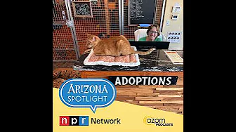 Arizona Theatre Company's "Deceived" takes gaslighting to a whole new level