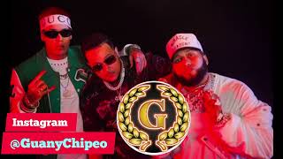 El Dueño De Los Crocky Doble Tono - Alfa El Jefe x Yaisel LM para Musicologos Guany Chipeo