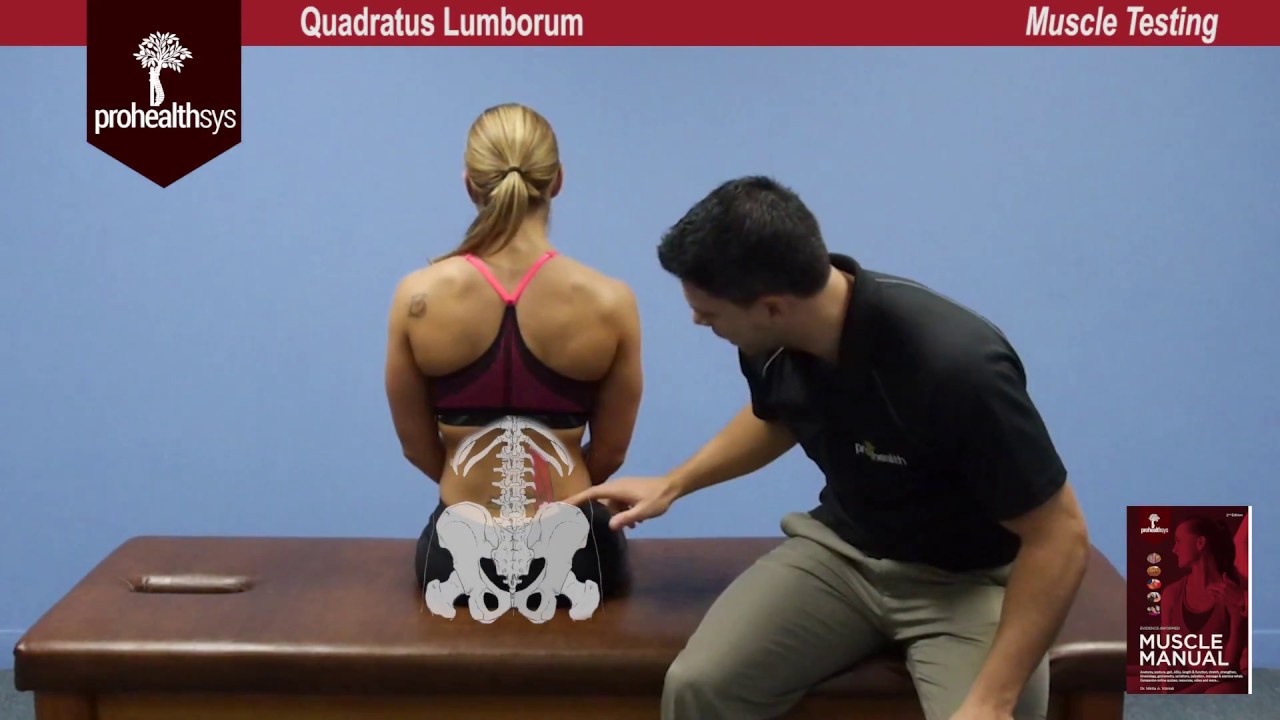 Quadratus Lumborum Muscle Test Vizniak