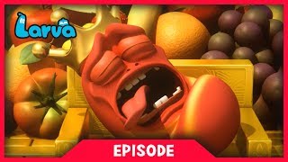 LARVA - NIGHTMARE | Cartoon Movie | Cartoons For Children | Larva Cartoon | LARVA Official
