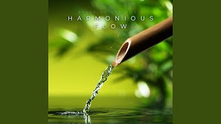 Zen Spa Music