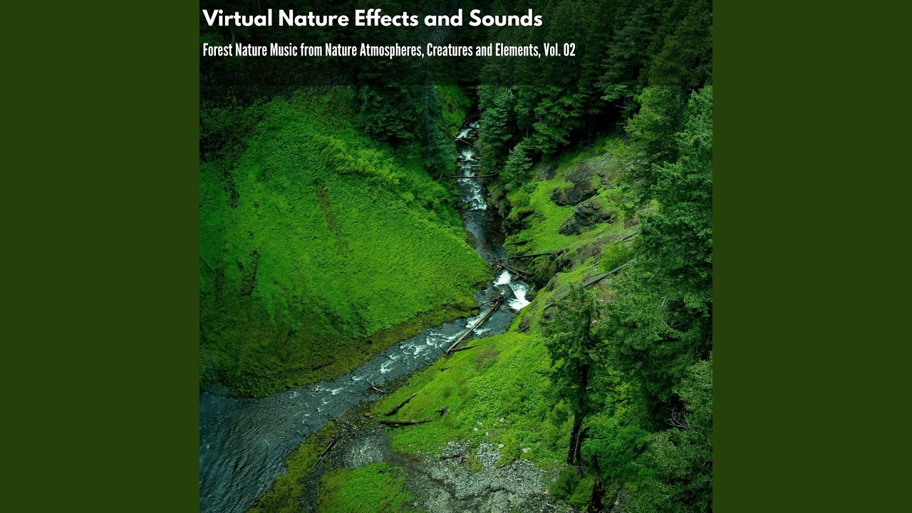 Indigenous Small Birds Plurals