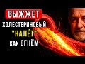 АТЕРОСКЛЕРОЗ Боится ЕГО КАК ОГНЯ! 1 советский продукт чистит сосуды от бляшек за ночь